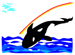 Whale, by Karen M. Erdman