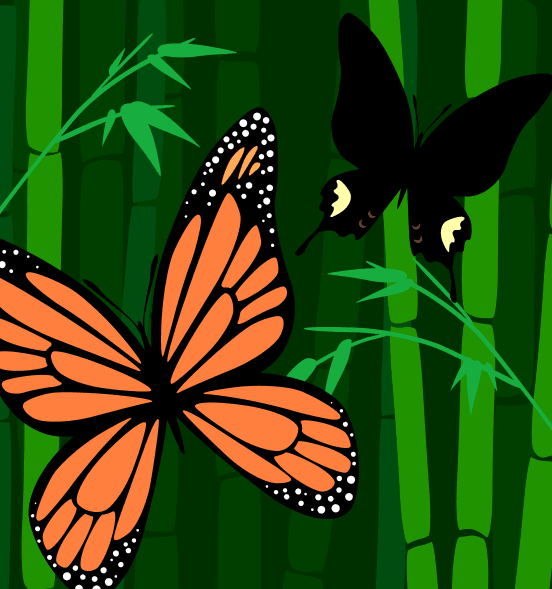 Butterfly World, by Lizzie Nguyen